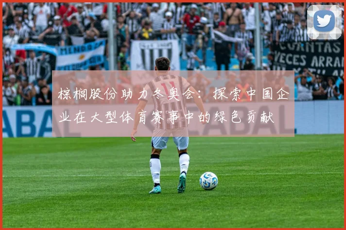 棕榈股份助力冬奥会：探索中国企业在大型体育赛事中的绿色贡献