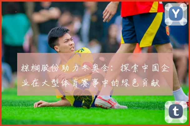 棕榈股份助力冬奥会：探索中国企业在大型体育赛事中的绿色贡献